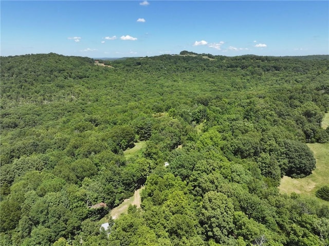 929 Madison 5330, Huntsville, AR 72740 - photo 30