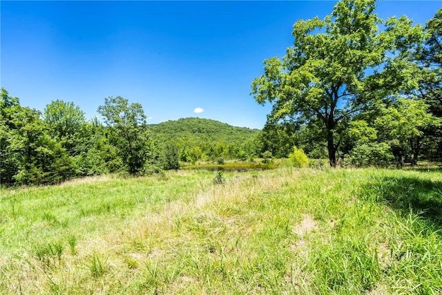 929 Madison 5330, Huntsville, AR 72740 - photo 31
