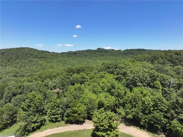 929 Madison 5330, Huntsville, AR 72740 - photo 35