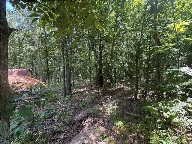 LOT59 Posy Mountain Dr, Garfield, AR 72732 - photo 1