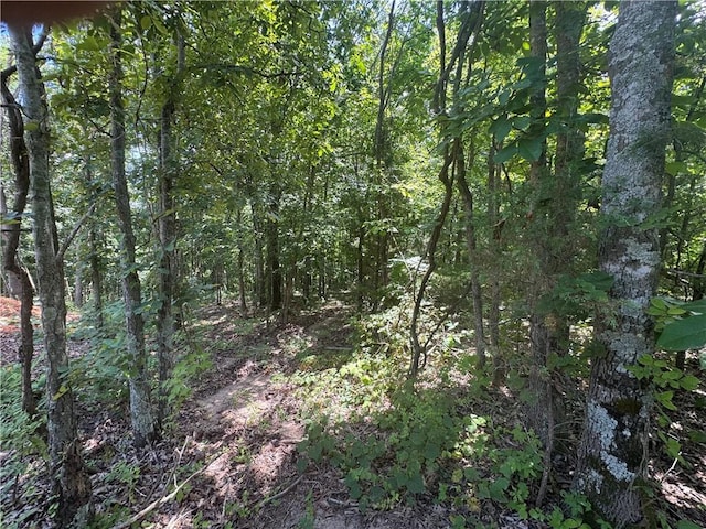 LOT59 Posy Mountain Dr, Garfield, AR 72732 - photo 2
