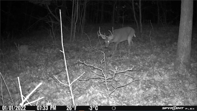 000 Madison 5390, Huntsville, AR 72740 - photo 5