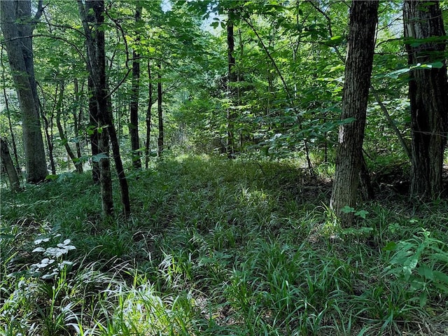 000 Madison 5390, Huntsville, AR 72740 - photo 6