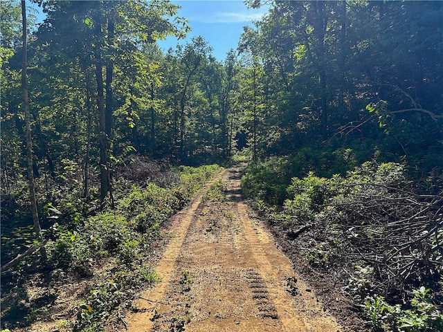 000 Madison 5390, Huntsville, AR 72740 - photo 7