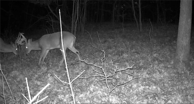 000 Madison 5390, Huntsville, AR 72740 - photo 8