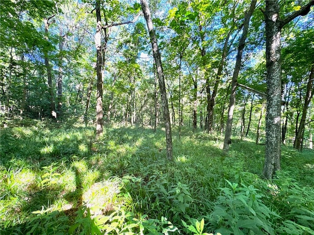 000 Madison 5390, Huntsville, AR 72740 - photo 9