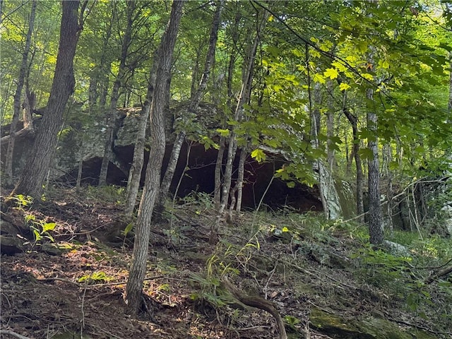 000 Madison 5390, Huntsville, AR 72740 - photo 11