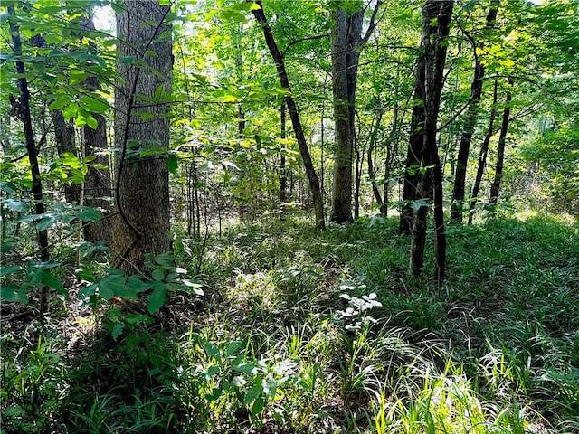 000 Madison 5390, Huntsville, AR 72740 - photo 12