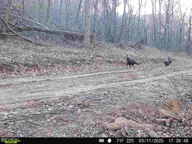 000 Madison 5390, Huntsville, AR 72740 - photo 13