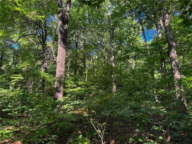 000 Madison 5390, Huntsville, AR 72740 - photo 14