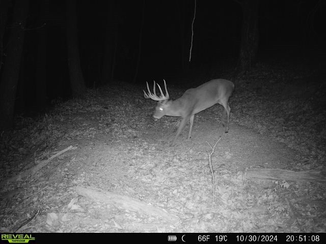 000 Madison 5390, Huntsville, AR 72740 - photo 15