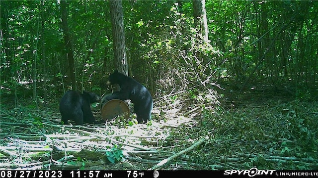 000 Madison 5390, Huntsville, AR 72740 - photo 20
