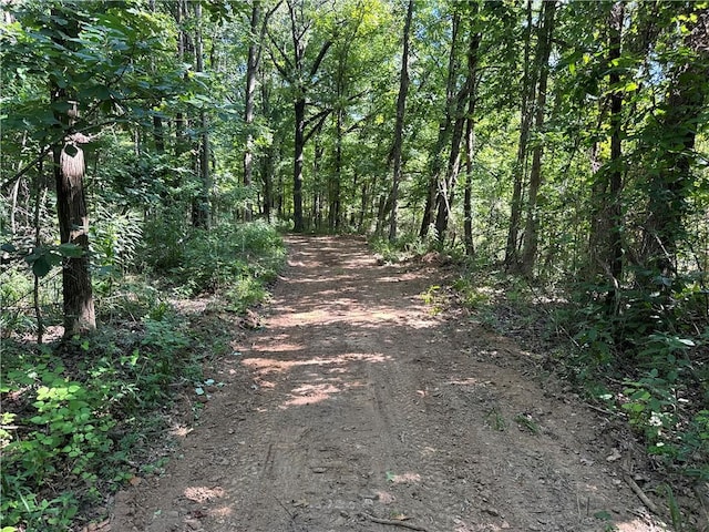 000 Madison 5390, Huntsville, AR 72740 - photo 21