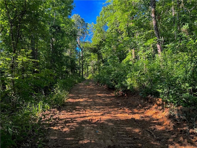 000 Madison 5390, Huntsville, AR 72740 - photo 25
