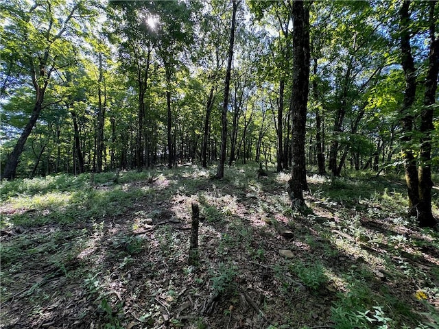 000 Madison 5390, Huntsville, AR 72740 - photo 27