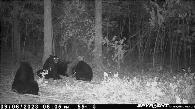 000 Madison 5390, Huntsville, AR 72740 - photo 28