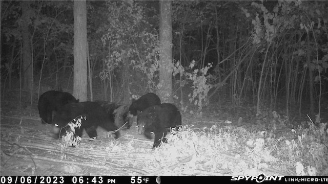 000 Madison 5390, Huntsville, AR 72740 - photo 29