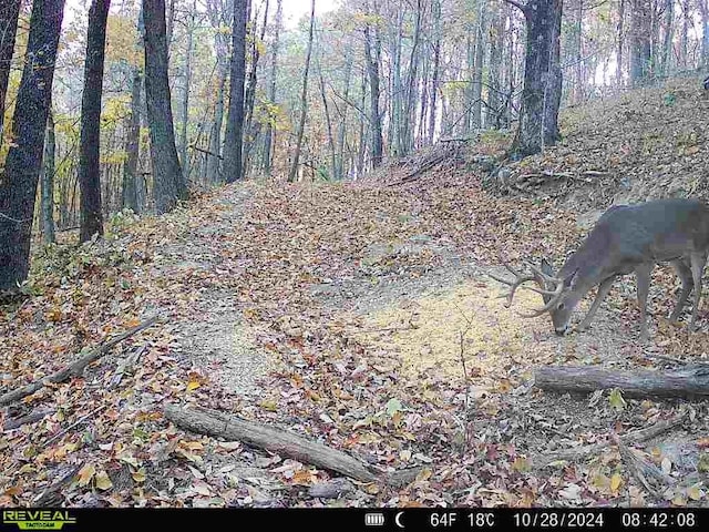 000 Madison 5390, Huntsville, AR 72740 - photo 31