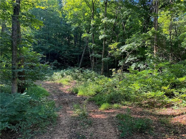 000 Madison 5390, Huntsville, AR 72740 - photo 32