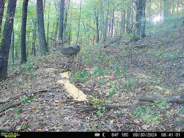 000 Madison 5390, Huntsville, AR 72740 - photo 34