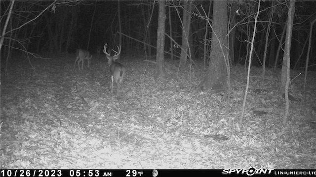 000 Madison 5390, Huntsville, AR 72740 - photo 35