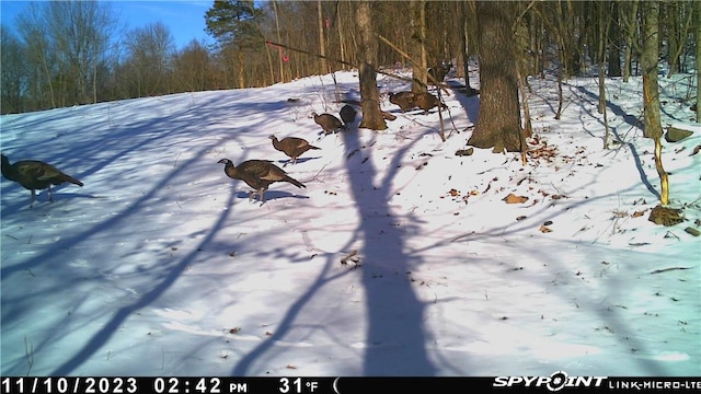 000 Madison 5390, Huntsville, AR 72740 - photo 36