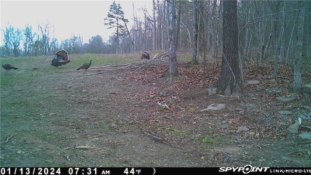 000 Madison 5390, Huntsville, AR 72740 - photo 37
