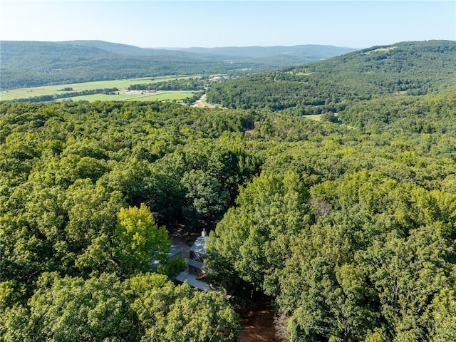 800 Barton Hill Ln, Mountainburg, AR 72946 - photo 37