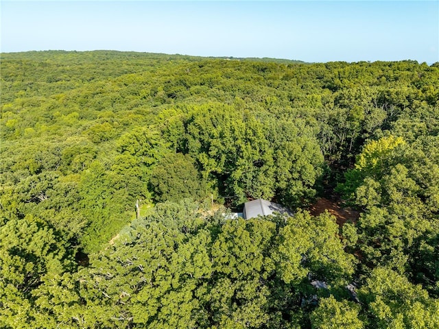 800 Barton Hill Ln, Mountainburg, AR 72946 - photo 39