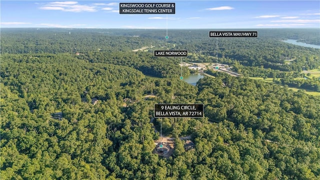 9 Ealing Cir, Bella Vista, AR 72714 - photo 42