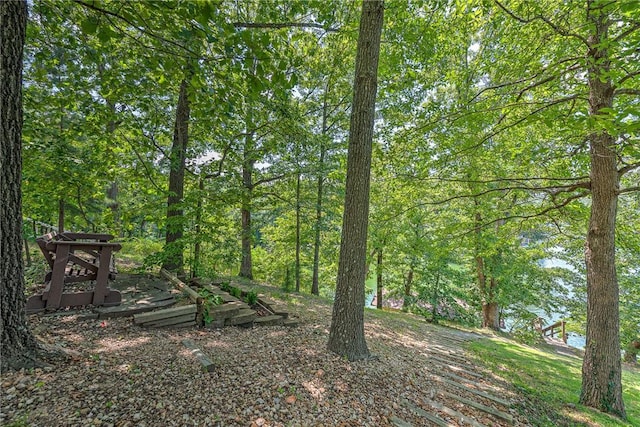 5 Dunedin Pl, Bella Vista, AR 72715 - photo 40