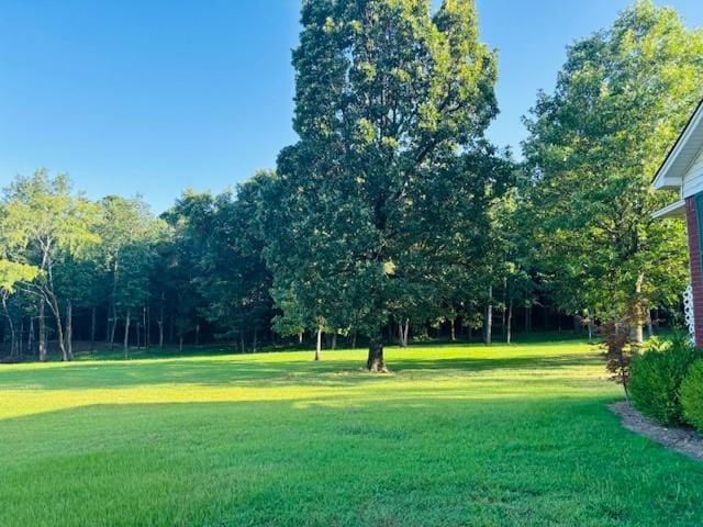 3944 Crow Mountain Rd, Russellville, AR 72802 - photo 42