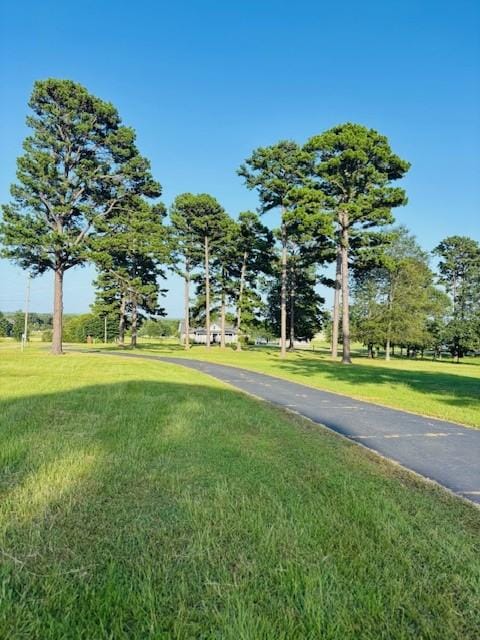 3944 Crow Mountain Rd, Russellville, AR 72802 - photo 43