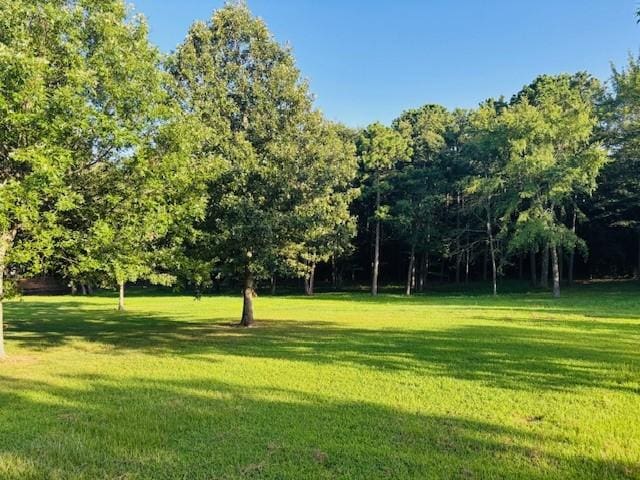 3944 Crow Mountain Rd, Russellville, AR 72802 - photo 44