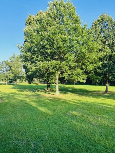 3944 Crow Mountain Rd, Russellville, AR 72802 - photo 45