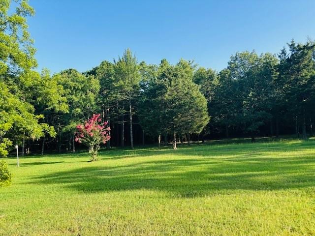 3944 Crow Mountain Rd, Russellville, AR 72802 - photo 47