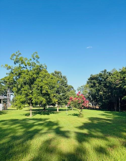 3944 Crow Mountain Rd, Russellville, AR 72802 - photo 48