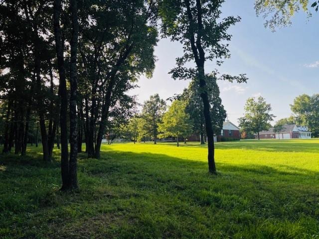 3944 Crow Mountain Rd, Russellville, AR 72802 - photo 50