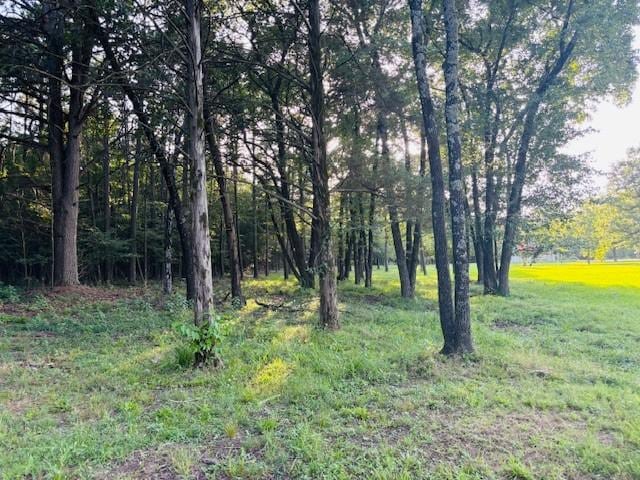 3944 Crow Mountain Rd, Russellville, AR 72802 - photo 51