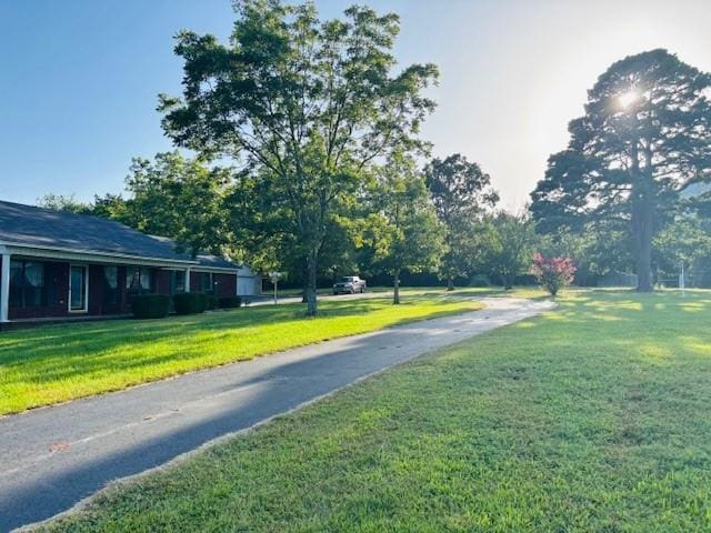 3944 Crow Mountain Rd, Russellville, AR 72802 - photo 52