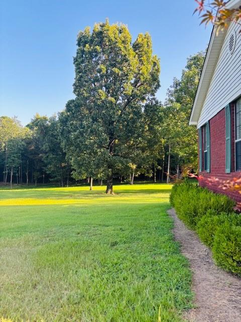 3944 Crow Mountain Rd, Russellville, AR 72802 - photo 32