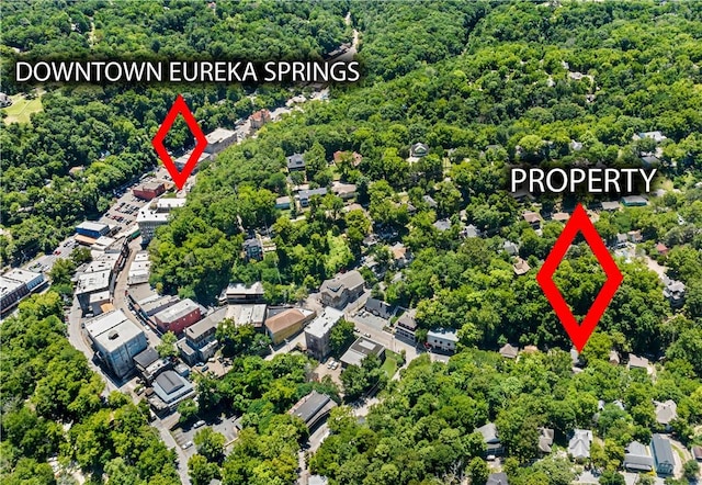 18 Pine St, Eureka Springs, AR 72632 - photo 30