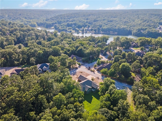2 Stonehaven Ln, Bella Vista, AR 72715 - photo 33