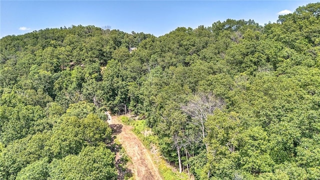 Indian Creek Rd, Garfield, AR 72732 - photo 5