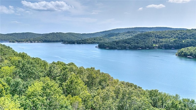 Indian Creek Rd, Garfield, AR 72732 - photo 7