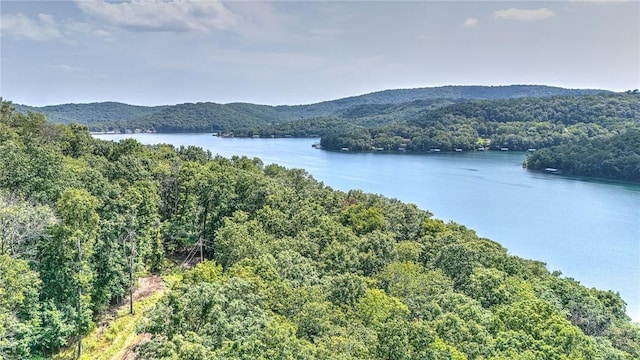 Indian Creek Rd, Garfield, AR 72732 - photo 8