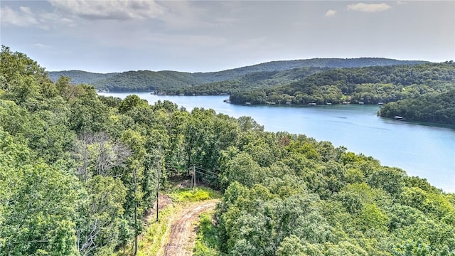 Indian Creek Rd, Garfield, AR 72732 - photo 9