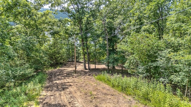 Indian Creek Rd, Garfield, AR 72732 - photo 15