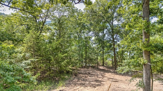 Indian Creek Rd, Garfield, AR 72732 - photo 16