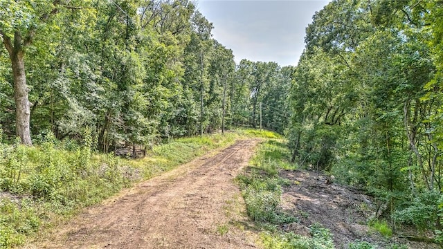 Indian Creek Rd, Garfield, AR 72732 - photo 18